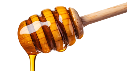 A honeycomb is shown with a wooden stick