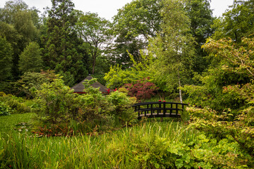bridge in the garden