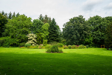 trees in the garden