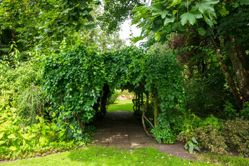 Obraz premium green garden in the park
