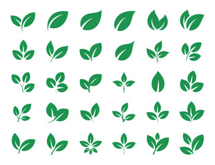 Collection of Green Leaf Icons Representing Growth and Nature in Various Shapes and Styles on White