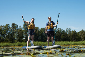 Caucasian young adult woman and Caucasian young adult man standing on paddle boards, holding paddles on lake surrounded by water plants and trees under clear blue sky