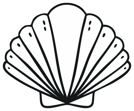 Elegant seashell outline illustration for coloring book pages and coastal decor projects Black and white line art design
