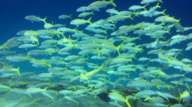 naufragio em alto mar