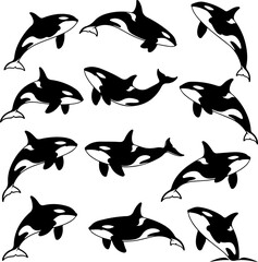Orcas Silhouette Collection: Dynamic Marine Mammal Poses