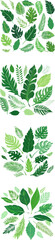 Obraz premium Vibrant Green Tropical Leaves Collection Vector Illustration.