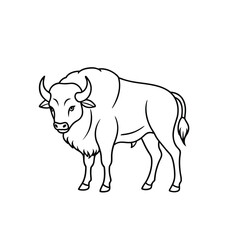 Minimalist Black and White Line Drawing of a Bison Standing on All Fours, Featuring Prominent Horns, Shaggy Mane, and Tail. This Stylized Vector Illustration Captures the Majestic Profile of the Plain