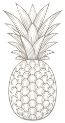 Obraz premium Elegant Pineapple Illustration with Detailed Lines, Tropical Fruit Graphic, Stylish Design