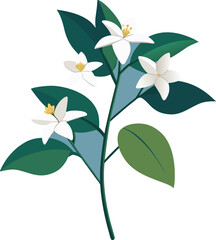 Obraz premium White Blossom Flower Stem Vector Illustration