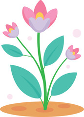 Obraz premium Pink Tulip Flower Vector Illustration