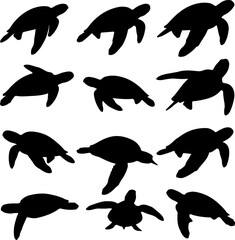 Fototapeta premium Collection of Turtle Silhouettes: Simple, Black, and White Vector Graphics for Design Projects