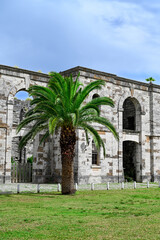 Palmetto tree in front of abandoned architectural ,building, Bermuda .