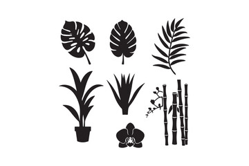 Collection of silhouetted tropical plant illustrations