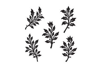 Vintage botanical illustrations of delicate leafy branches