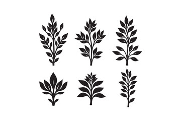 Six stylized black botanical branch illustrations on white background
