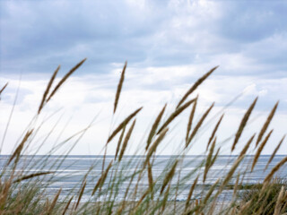 Morze Bałtyckie, widok z wydmy na morze