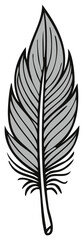 Obraz premium Elegant Gray Feather Illustration Isolated on White Background