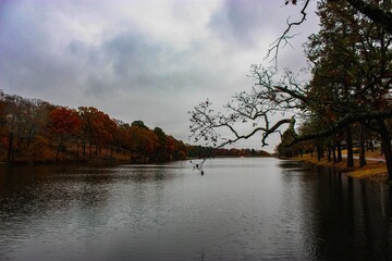 lake in autumn