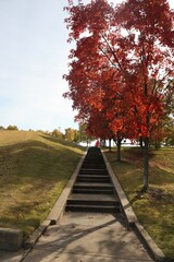 Walkway with autumn leaves 