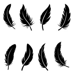 A soft, light feather symbolizing freedom and grace.