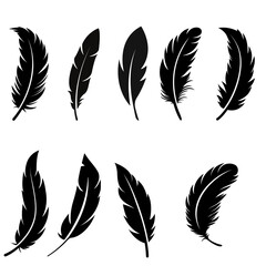 A soft, light feather symbolizing freedom and grace.