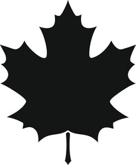 vector illustration of a maple leaf