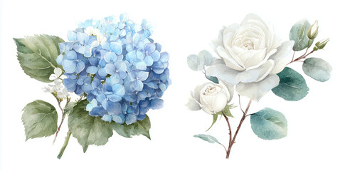 Floral watercolor illustration. Blue hydrangea and white rose offer delicate texture. Use for wedding invites, branding, stationery.