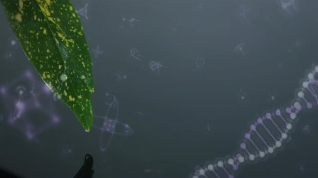 Leaf closeup starting drifting molecular icons, scrolling DNA helix demonstrating biotech process