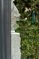 Broken glass panel with jagged edges beside green foliage and metal fence in urban environment