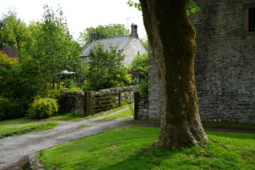 Sheldon, The Peak District, England - August 6 2025: Stone cottage garden gate and dry stone walls surrounded by lush summer greenery in Sheldon, the Peak District, England.