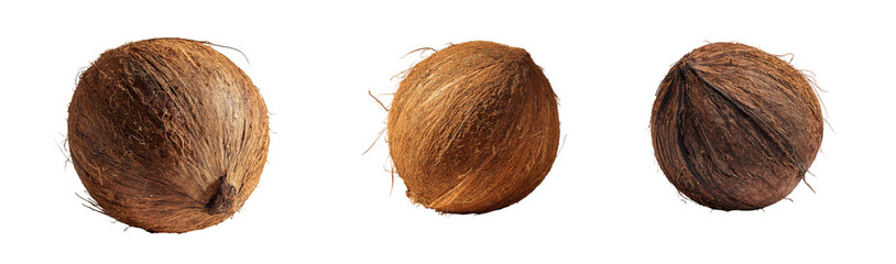 Three whole coconuts isolated on transparent background