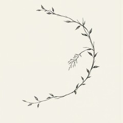 Elegant black line drawing illustrates delicate vine with leaves, seed head. Botanical artwork features graceful curve with minimalist, simple aesthetic, perfect for graphic design, logos, decorative