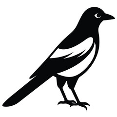 magpie vector icon