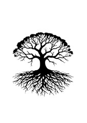 Silhouette of a Tree with Extensive Branches and Roots