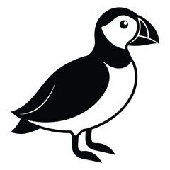 puffin vector icon