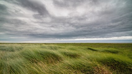 Obraz premium Vast Green Fields Under Dramatic Cloudy Sky at Twilight in Rural Landscape