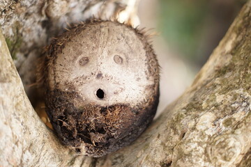Scenery of Livingston, Izabal, Guatemala
