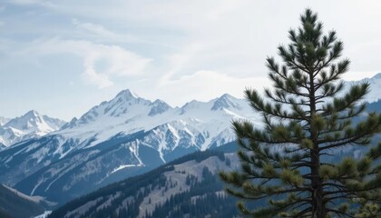 A scenic view of snow-capped mountains under a cloudy sky, with a coniferous tree in the foreground.