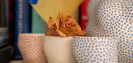 Rose flower cup texture pattern dot still life decor home interior decoration memory romance love vintage dried past nostalgia object color