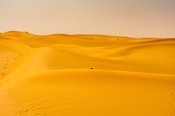 Landscape of the Rub Al Khali Desert near Dubai,  UAE