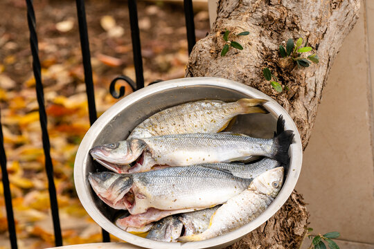 Muttered Nearly รูปภาพMuttering – เลือกดูภาพถ่ายสต็อก เวกเตอร์ และวิดีโอ25,498 | Adobe ...