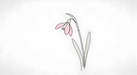 Naklejka premium Minimalist Minimalist line art of a pink Snowdrop, simple elegant strokes on a plain background Serene
