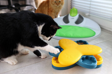 Cat playing with interactive puzzle toy, indoor feline entertainment