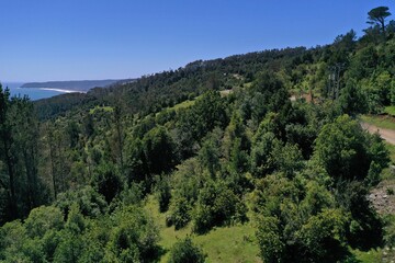 Entre costa y mar una pradera de bosque nativo valdiviano, Loncoyén Valdivia