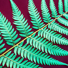 fern leaf pattern on earthy mocha mousse tone, photorealistic detail