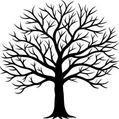 Obraz premium Silhouette of a bare deciduous tree with intricate branches against a white background vector illustration
