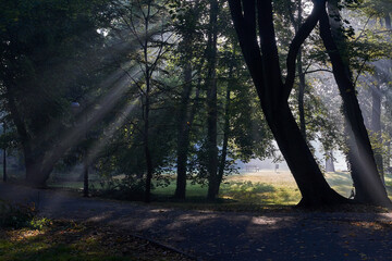 Bench lit by sun rays early in the morning in a park in the city of Poznan