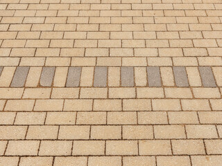 A red brick pavement with a black and white pattern. The bricks are laid in a grid pattern