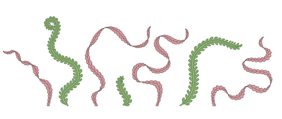 Elegant curvy Art nouveau style green and pink seaweed hand drawn monochrome vector illustration set