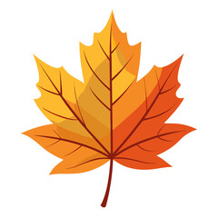Fototapeta premium Autumn leaf no background 
